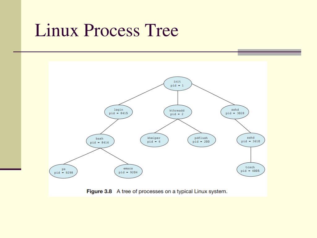 Tree processing.
