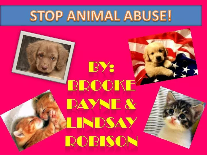 PPT - STOP ANIMAL ABUSE! PowerPoint Presentation, free download - ID ...