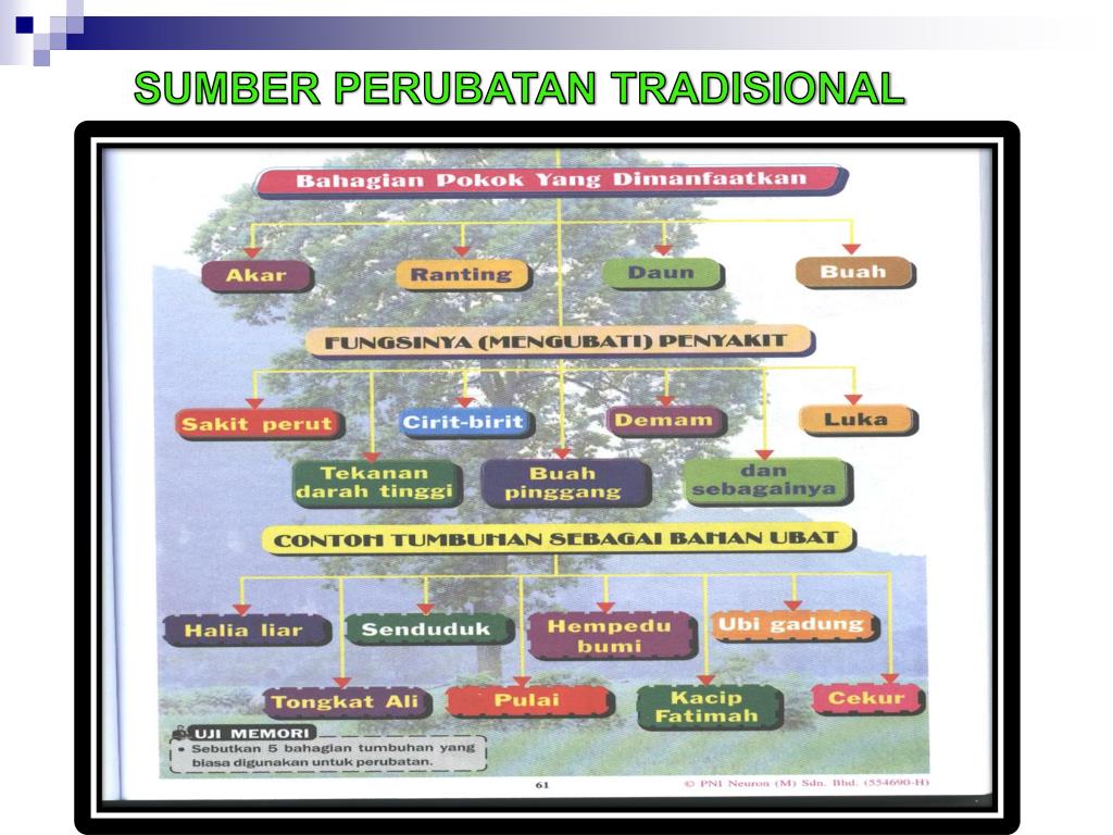 PPT - TEMA 3 TUMBUH-TUMBUHAN SEMULA JADI DAN HIDUPAN LIAR PPT - TEMA 3 TUMBUH-TUMBUHAN SEMULA JADI DAN HIDUPAN LIAR