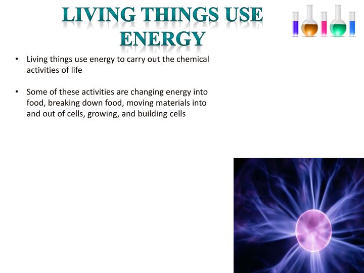 ppt-the-six-characteristics-of-all-living-things-powerpoint