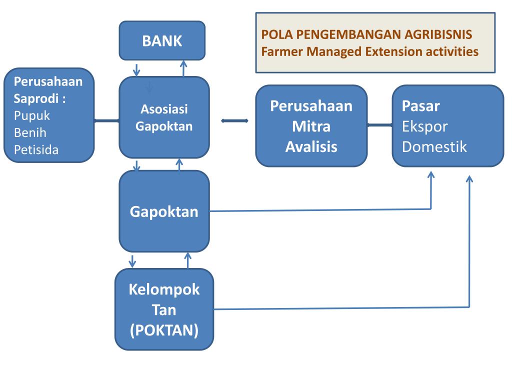 Extension activity. Bank Management Farming. Banking activity