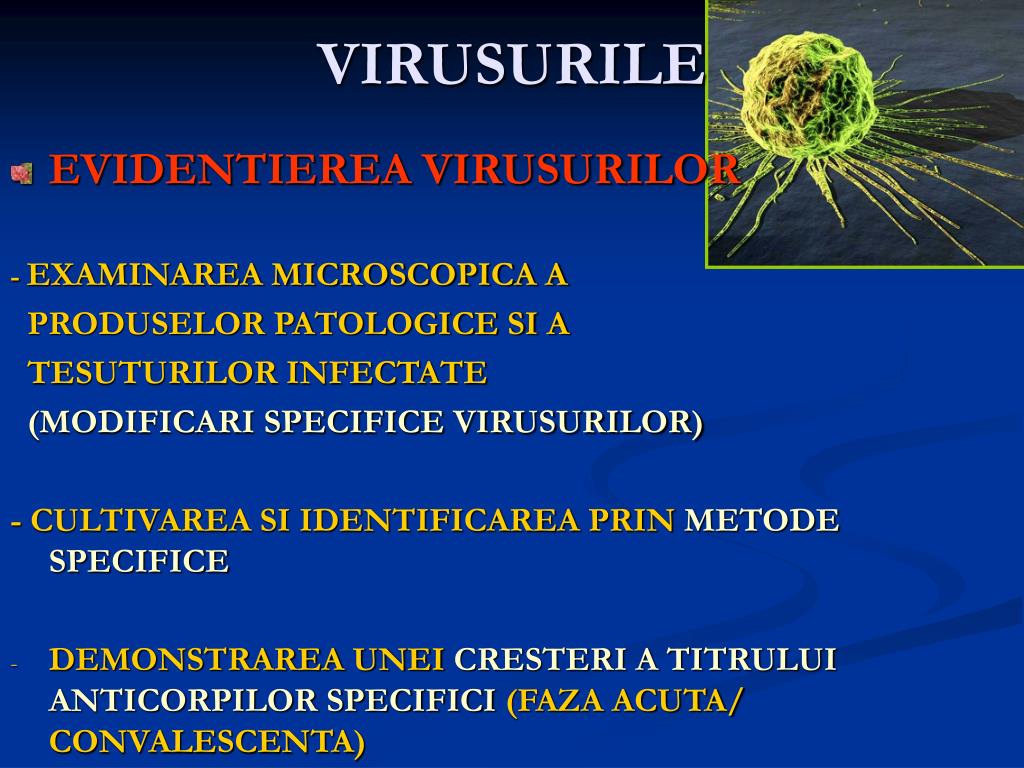 PPT CULTIVAREA SI IDENTIFICAREA VIRUSURILOR PowerPoint Presentation