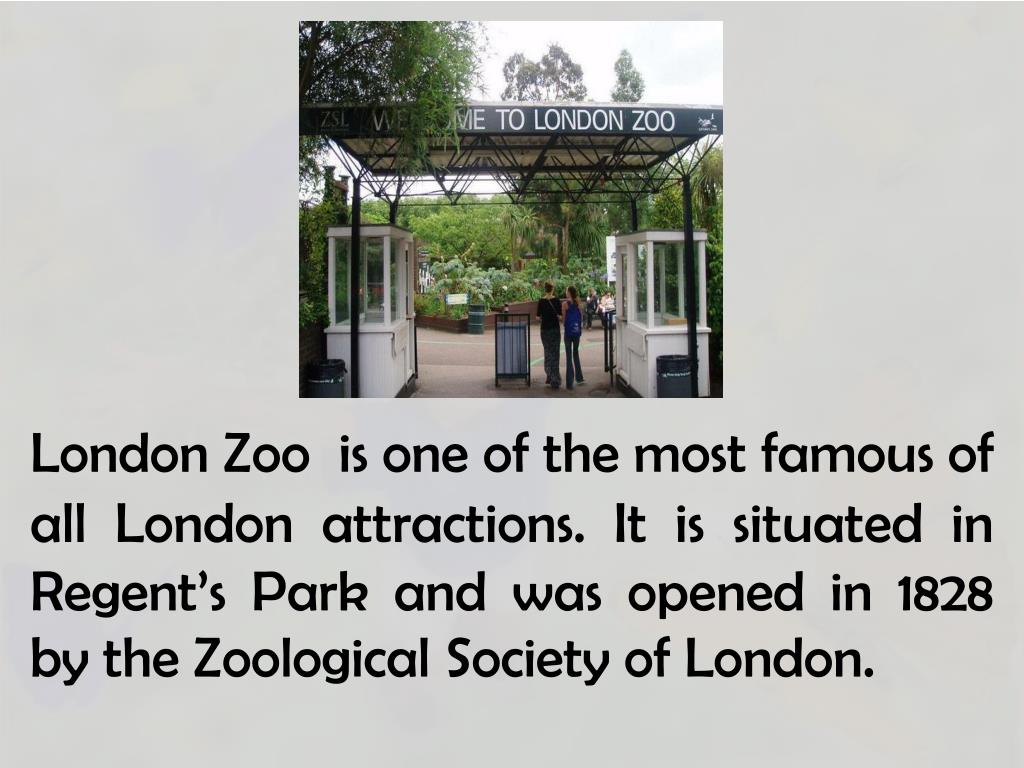 london zoo presentation