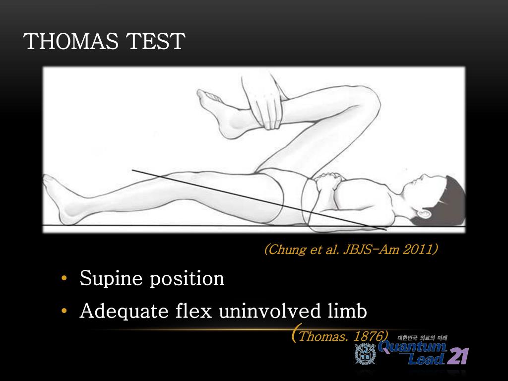 PPT - Anatomy Wokrshop PowerPoint Presentation, free download - ID:6972388