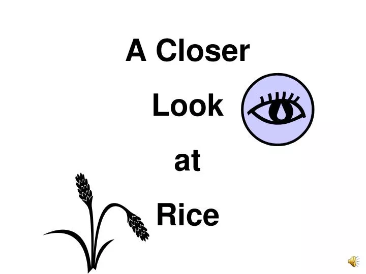 a closer look at rice n.