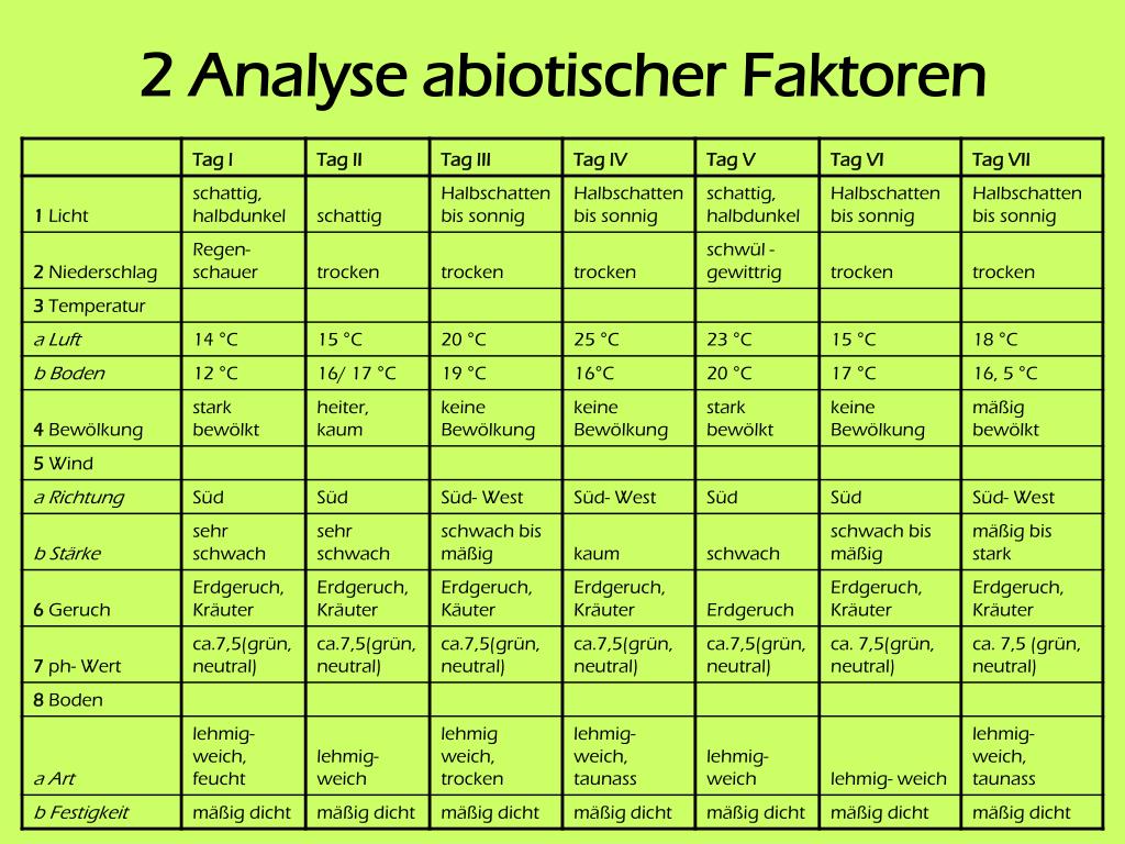 PPT - Ökologische Untersuchungen im Gelände PowerPoint Presentation ...