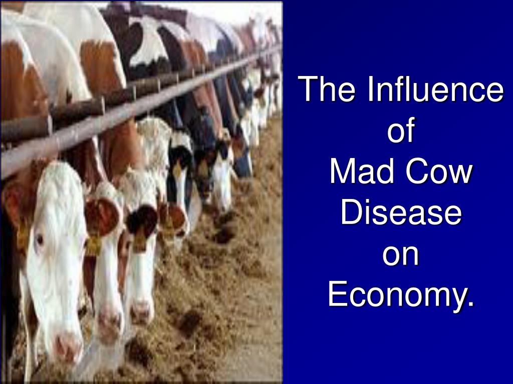 PPT Mad Cow Disease PowerPoint Presentation, free download ID