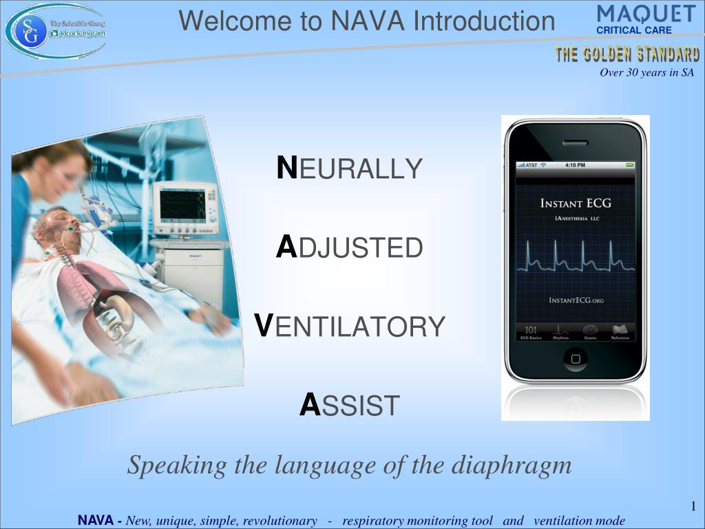 PPT - Welcome to NAVA Introduction PowerPoint Presentation, free download -  ID:6977683