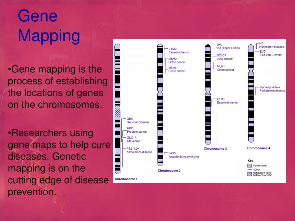 PPT - Unit 6 Human Disease PowerPoint Presentation, free download - ID ...