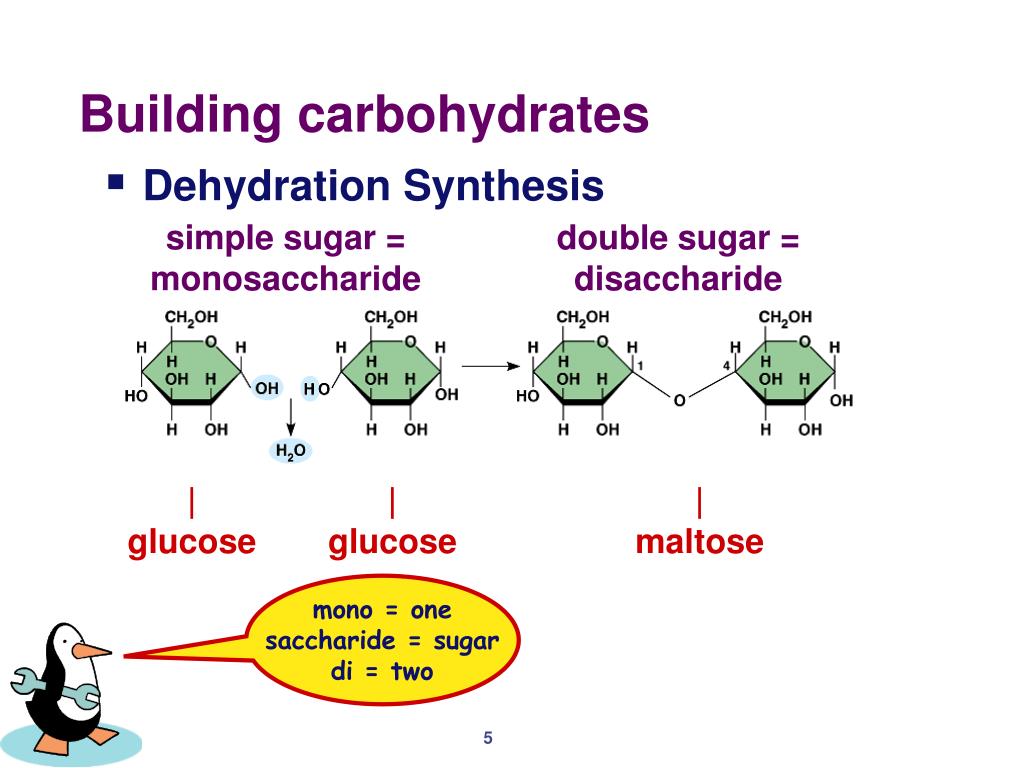 80 синтез. Dehydration Synthesis. Saccharide. Carbohydrate Analysis. Dehydration Synthesis gif.