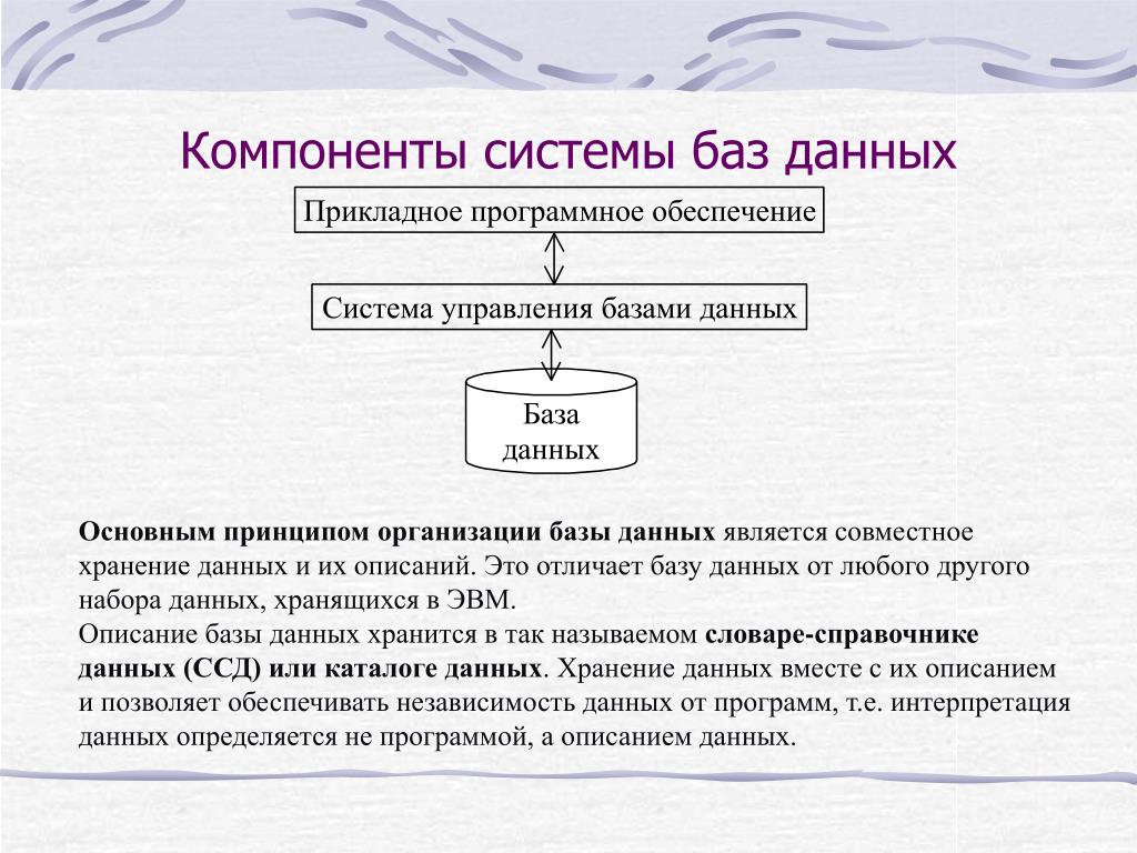 Презентация по теме база данных 11 класс