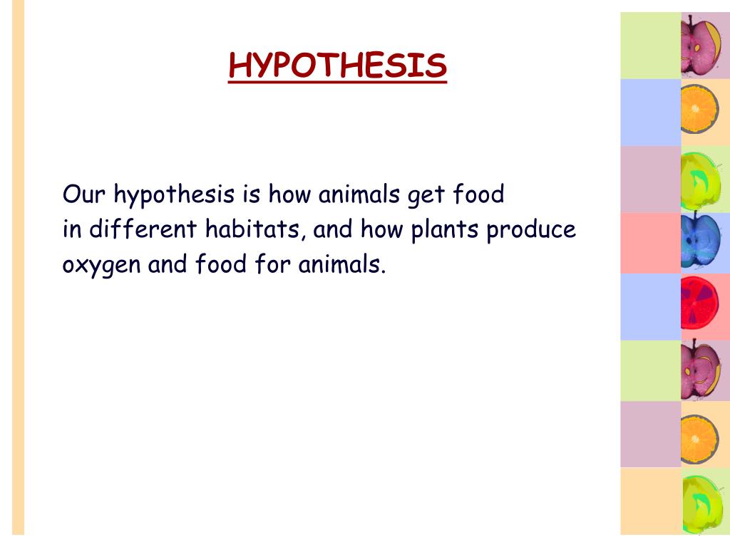 hypothesis food meaning