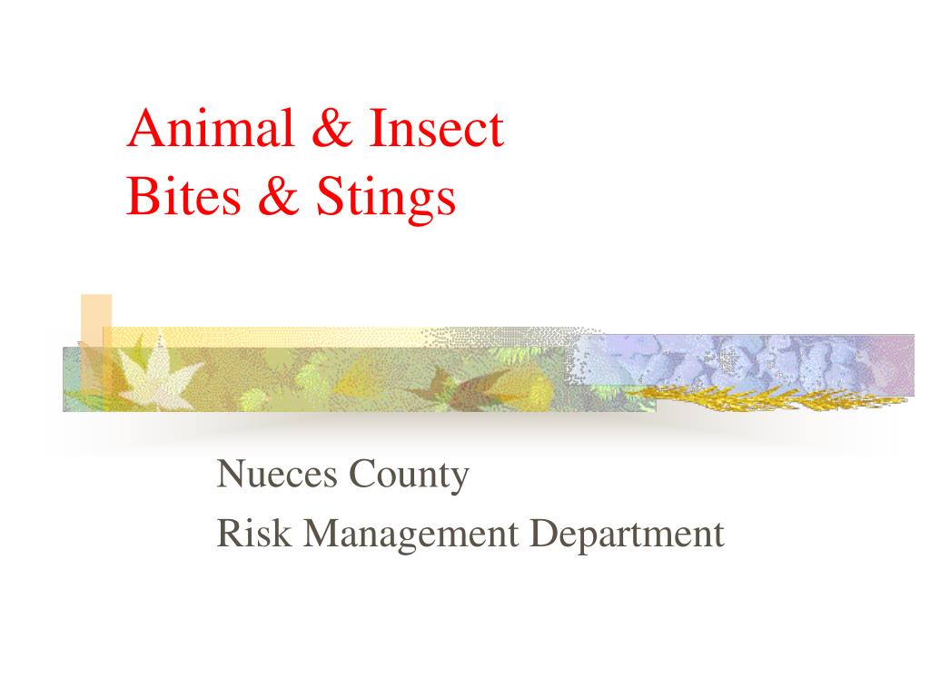 PPT - Animal & Insect Bites & Stings PowerPoint Presentation, free download - ID:6991261 PPT - Animal & Insect Bites & Stings PowerPoint Presentation, free download - ID:6991261