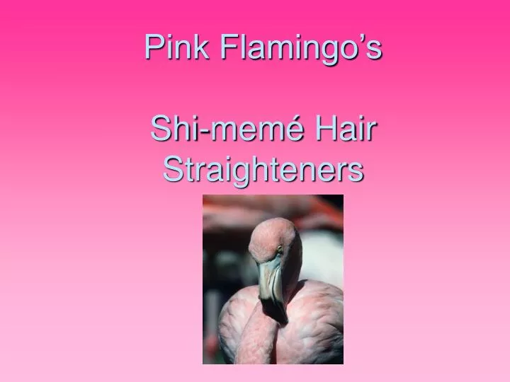 pink flamingo s shi mem hair straighteners n.