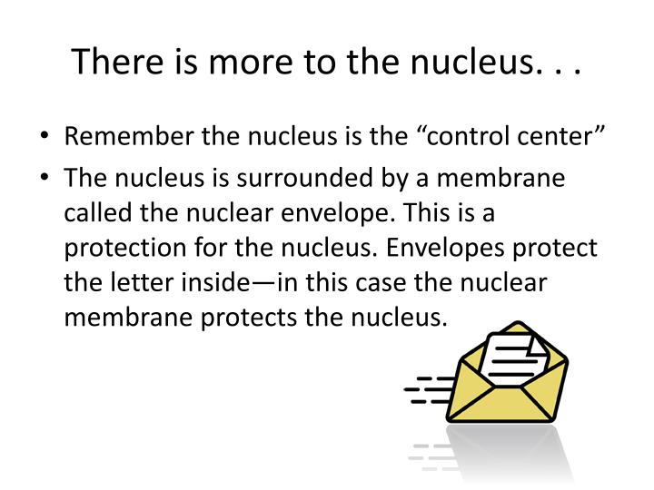 PPT The Cell As A “City” PowerPoint Presentation ID