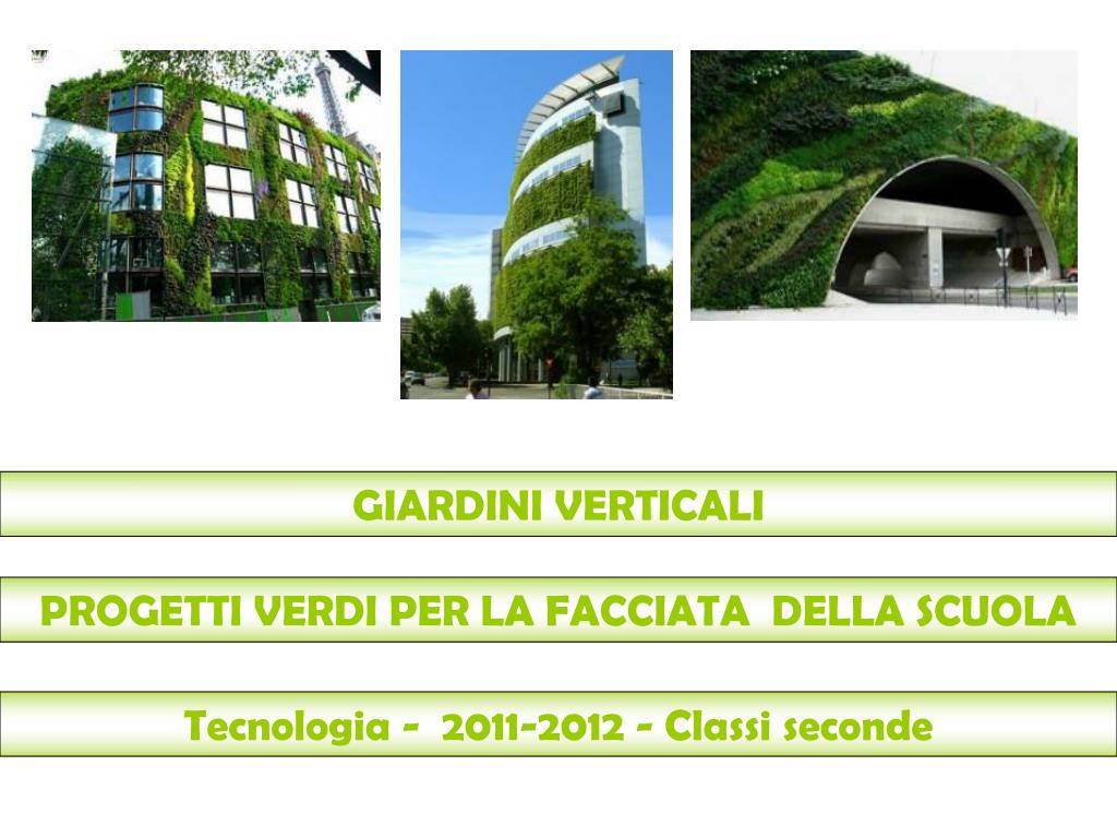 Progettazione di Giardini Verticali e Pareti Verdi in Emilia Romagna