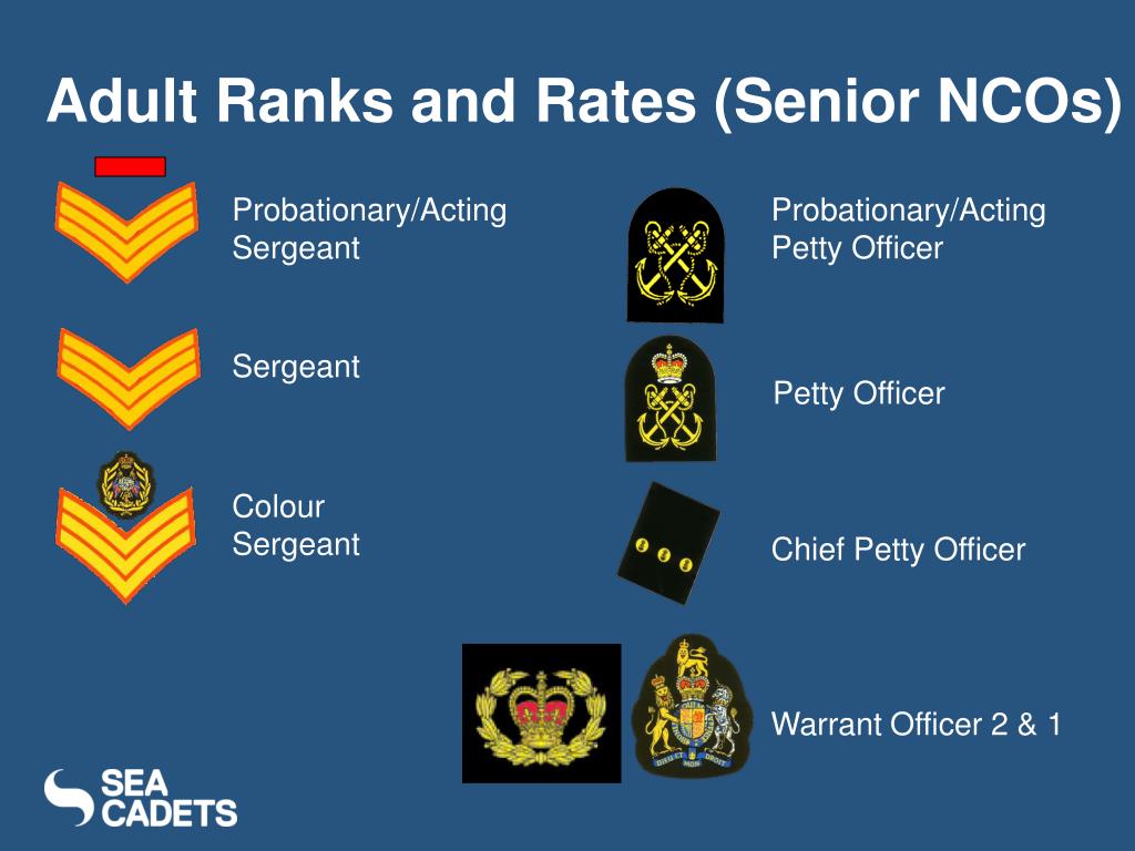Out rank. Колор сержант. Petty Officer Britain Ranks. Office Cadet звание. Probationary Rank.