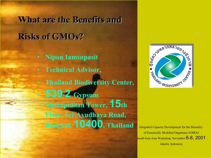 the benefits and risks of genetically modified organisms Although genetically modified organisms (gmos) are controversial, they have a few advantages the following points will help you understand gmos: heav. the benefits and risks of genetically modified organisms Although genetically modified organisms (gmos) are controversial, they have a few advantages the following points will help you understand gmos: heav.