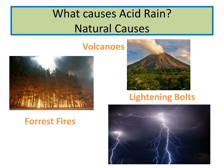 PPT Acid Rain PowerPoint Presentation ID6998956