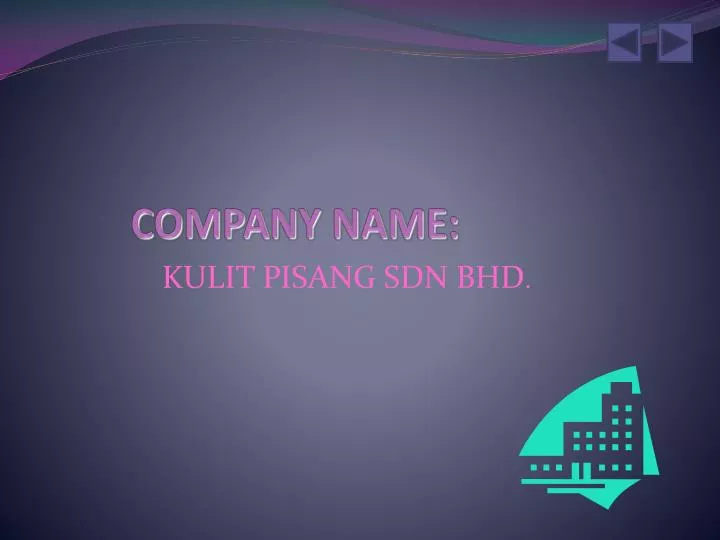 company name n.