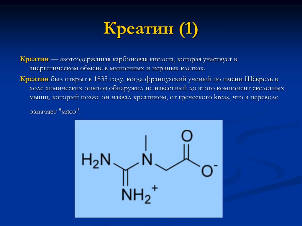 Креатин функции