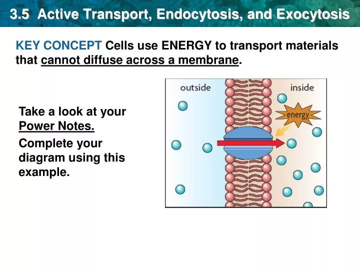 Ppt 3 5 Active Transport Endocytosis And Exocytosis Powerpoint Presentation Id Ppt 3 5 Active Transport Endocytosis And Exocytosis Powerpoint Presentation Id