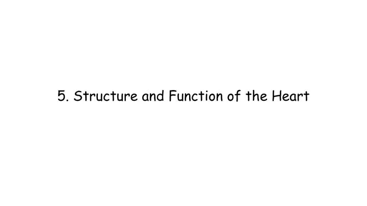 5 structure and function of the heart n.