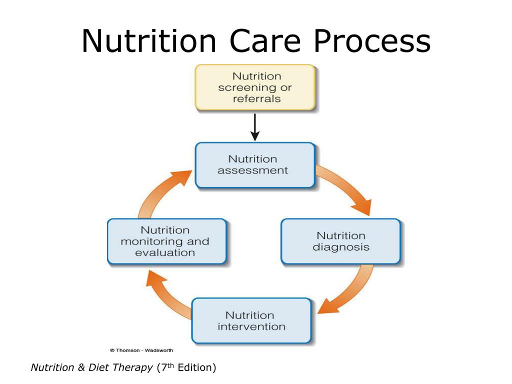 Nutrition Care Process And Model Diagram