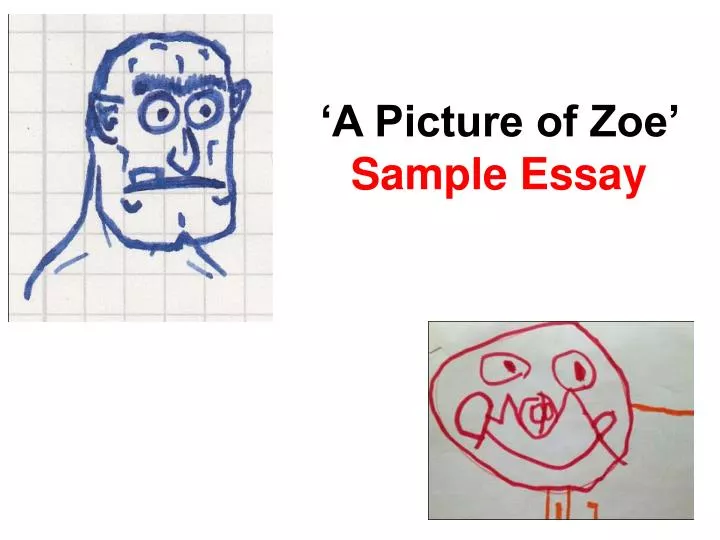 a picture of zoe sample essay n.