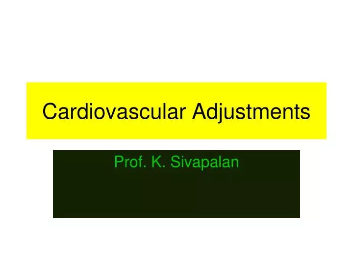 cardiovascular adjustments n.