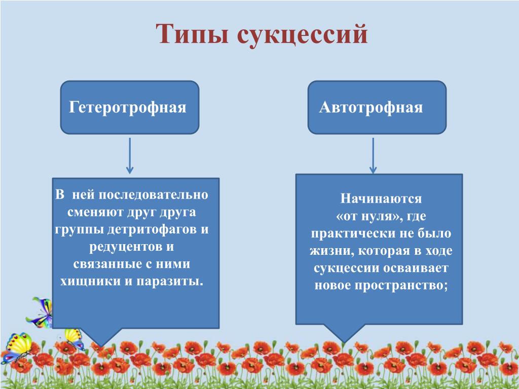 Фото Гетеротрофный Тип Питания