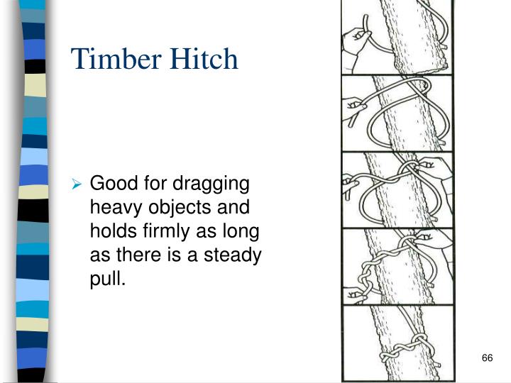 PPT FIRE SERVICE Ropes & Knots IFSTA Ch. 6 PowerPoint Presentation