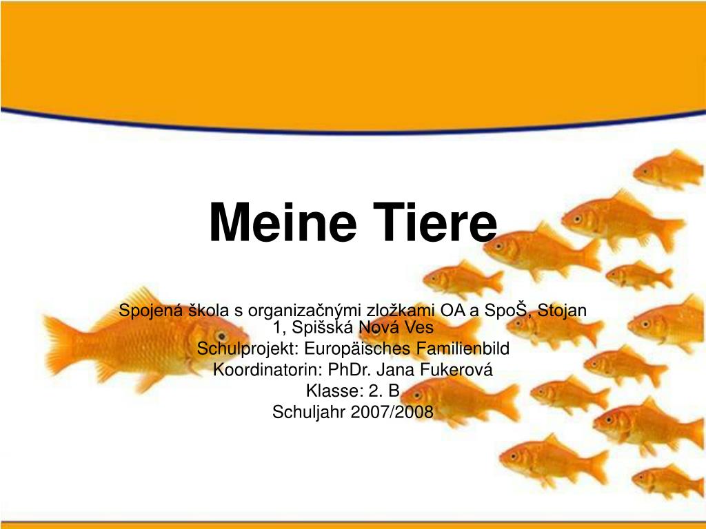 PPT - Meine Tiere PowerPoint Presentation, free download - ID:7013318
