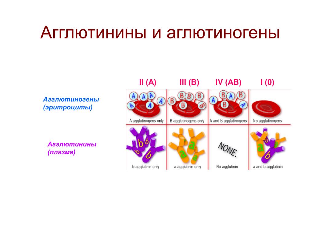 Агглютиногены 2 группы крови. Альфа и бета агглютинины в плазме. 1 Группа на эритроцитах агглютиногены. Агглютиногены эритроцитов таблица. Группы крови агглютиногены.