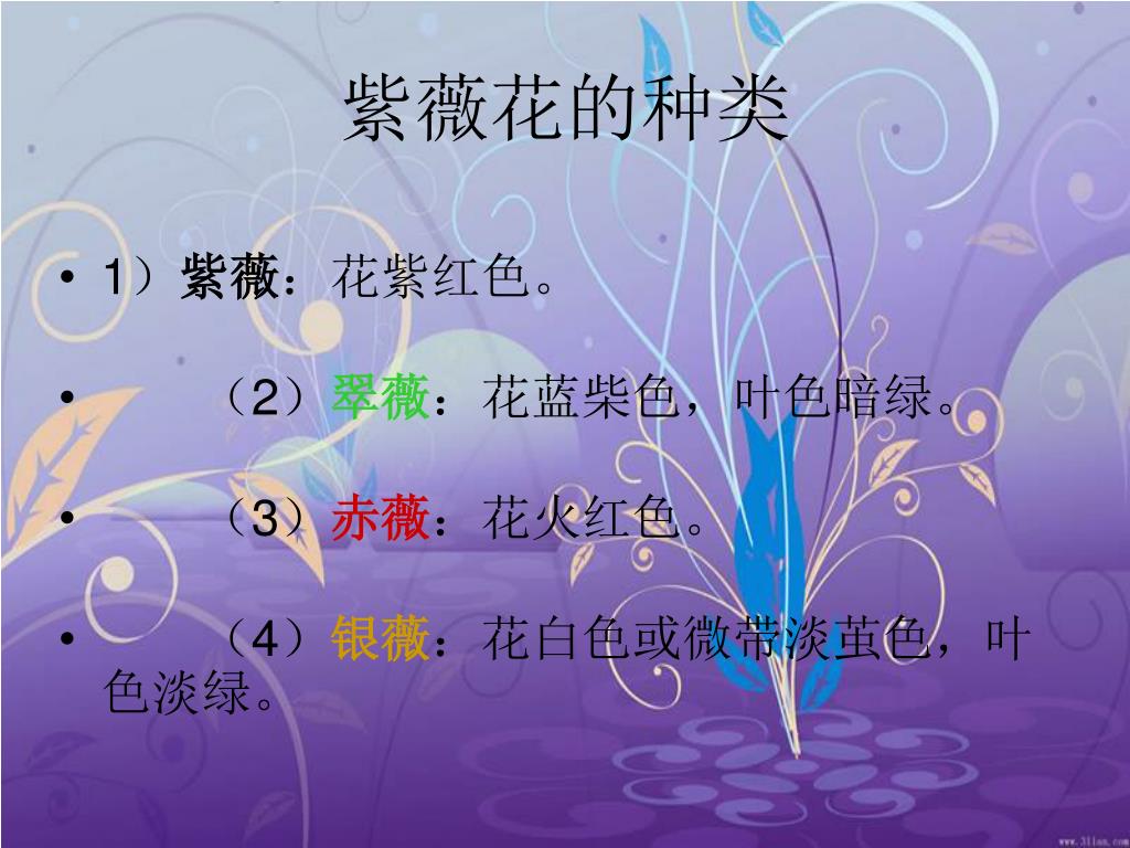 Ppt 紫薇花powerpoint Presentation Free Download Id
