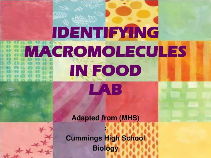 PPT - IDENTIFYING MACROMOLECULES IN FOOD LAB PowerPoint Presentation ...