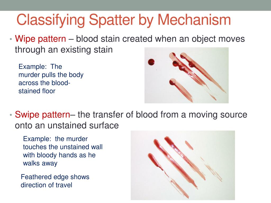 PPT - Blood Spatter Pt 2: Projected Blood PowerPoint Presentation, free