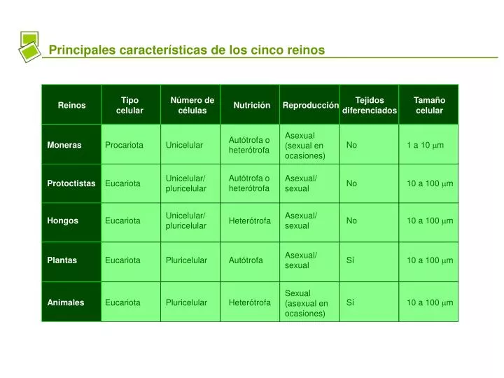 PPT - Principales características de los cinco reinos PowerPoint