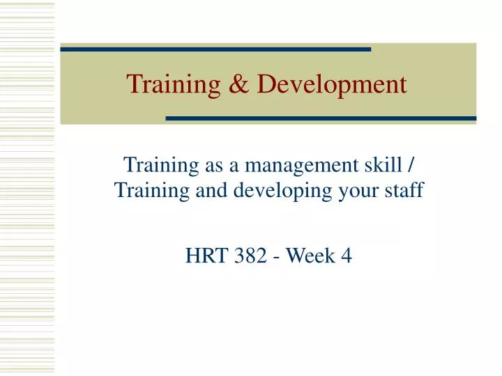 training development n.