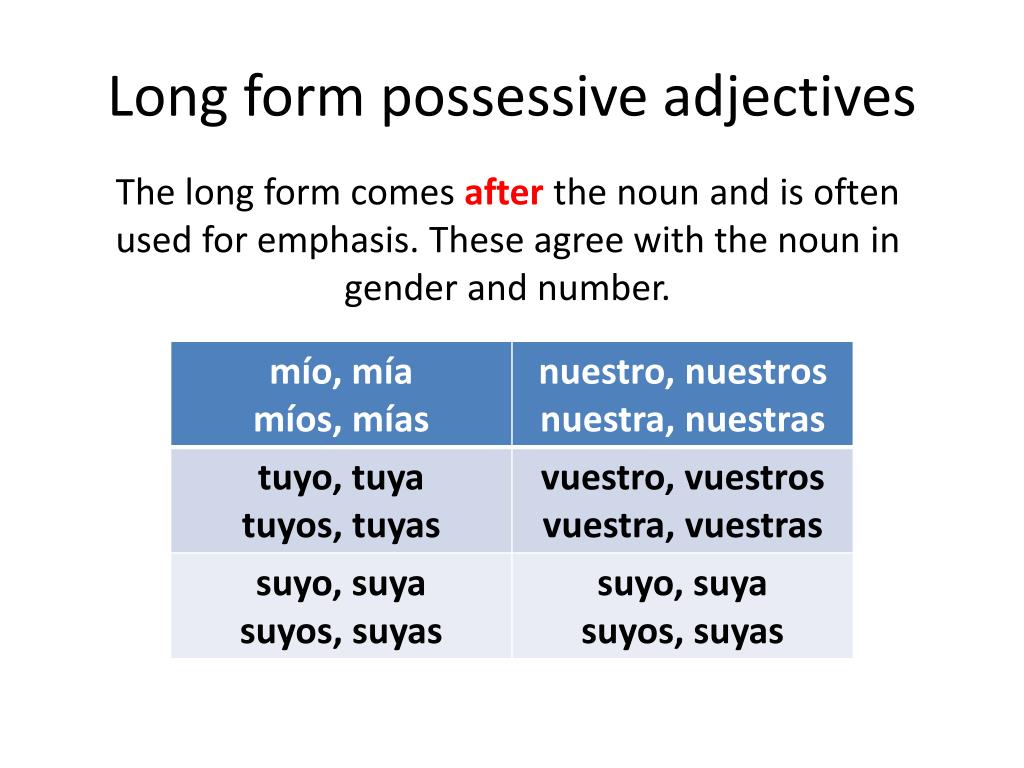 9-best-images-of-worksheet-spanish-adjetivos-posesivos-long-form-possessive-adjectives-in