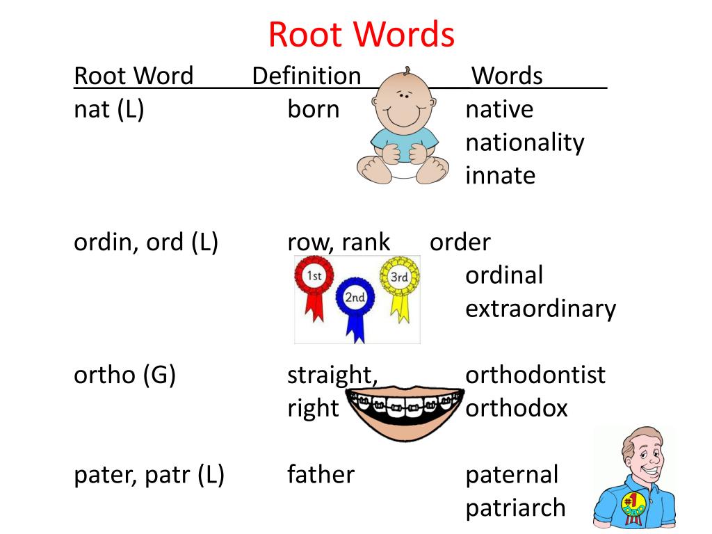 root words presentation