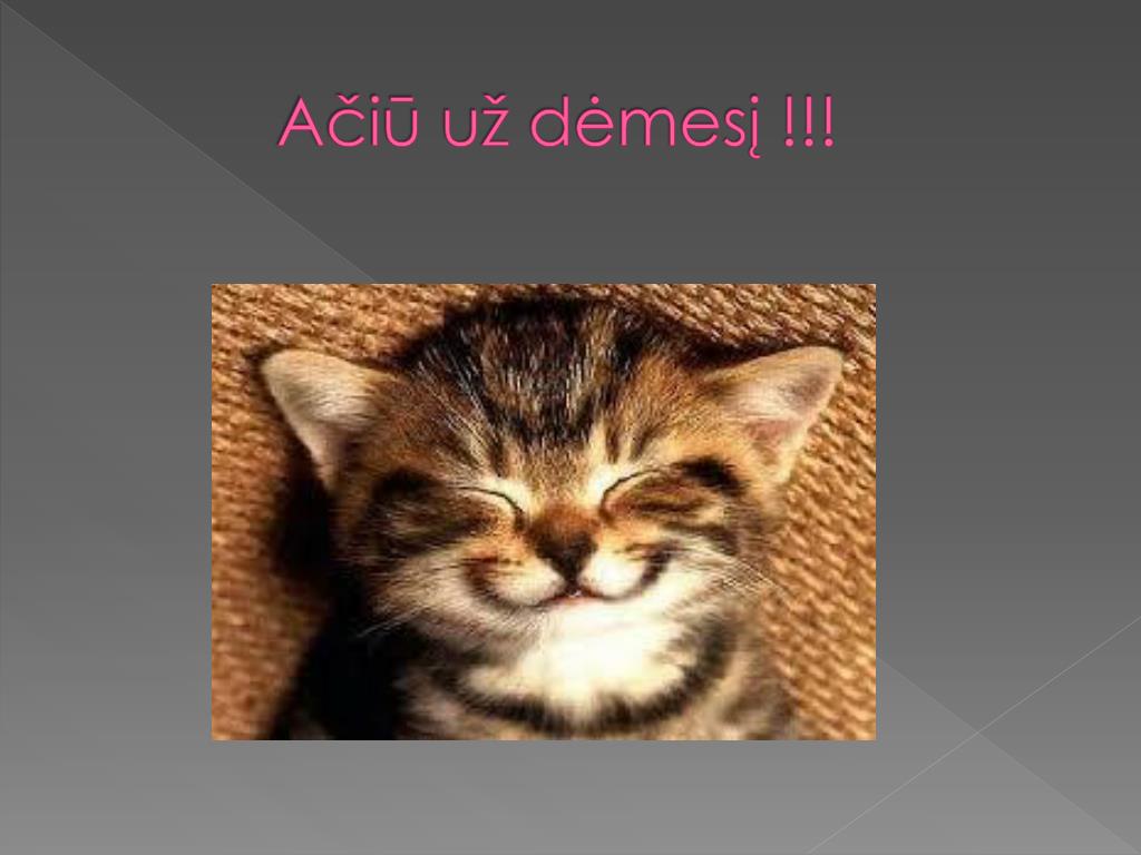 PPT 5a Klas s I Ojo Pusme io Pasiekimai Ir Veikla PowerPoint PPT 5a Klas s I Ojo Pusme io Pasiekimai Ir Veikla PowerPoint
