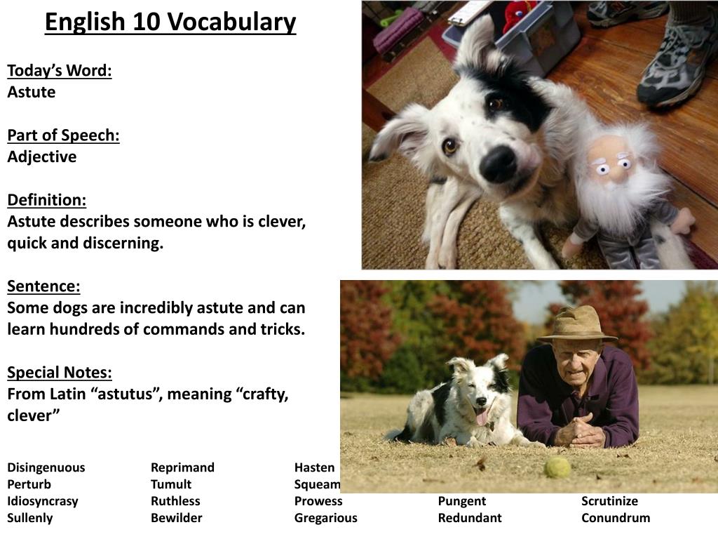 PPT - English 10 Vocabulary Today’s Word: Astute Part of Speech