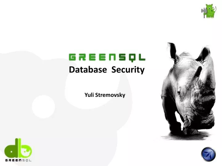 database security n.