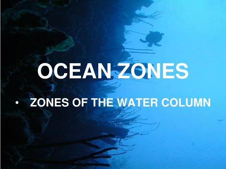 ocean zones n.