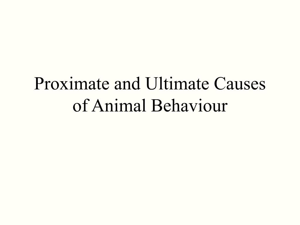 PPT - Proximate and Ultimate Causes of Animal Behaviour PowerPoint  Presentation - ID:7033388