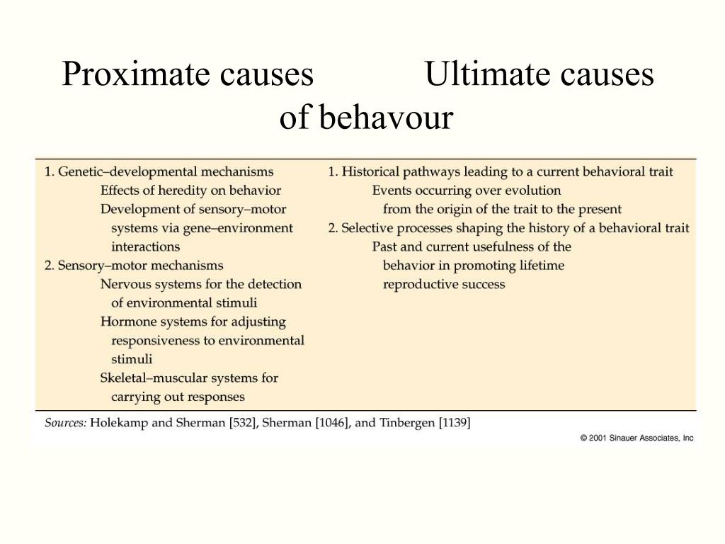 PPT - Proximate and Ultimate Causes of Animal Behaviour PowerPoint Presentation - ID:7033388 PPT - Proximate and Ultimate Causes of Animal Behaviour PowerPoint Presentation - ID:7033388