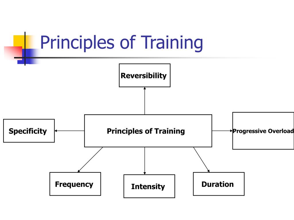 PPT National 5 Physical Education Principles of Training PowerPoint Presentation ID7035935