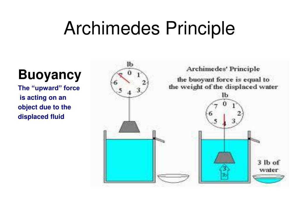 archimedes watch