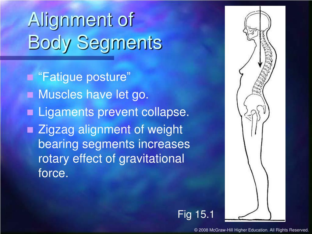 Chapter 15: The Standing Posture PowerPoint Presentation, free ... Biology Diagrams